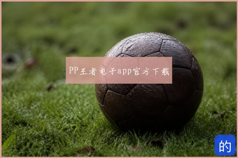 PP王者电子app官方下载